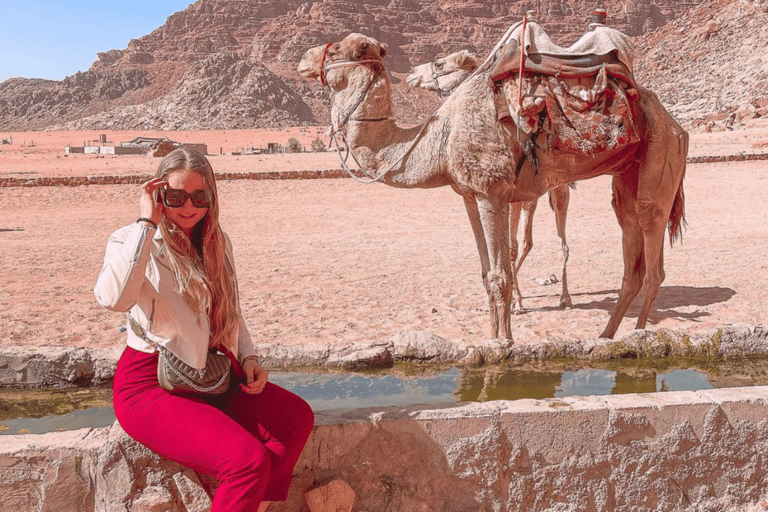 Désert du Wadi Rum : visite d&#039;une demi-journée en jeep (matin ou coucher de soleil)