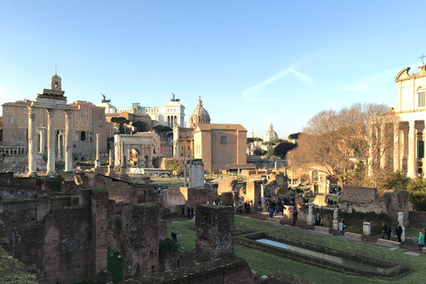 Rome: Colosseum, Forum &amp; Palatine Hill with Audio GuideExperience with Arena Access