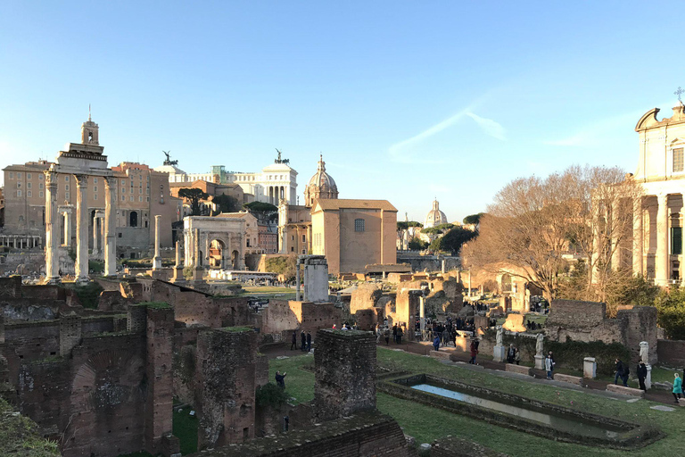 Rome: Colosseum-Forum-Palatine access & Introductory Video Option with Arena Access