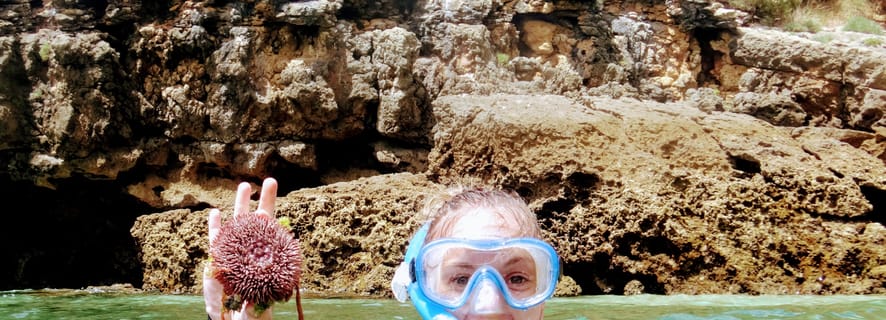 Fra Lisboa: Snorkle- og vandreeventyr i Arrábida naturpark