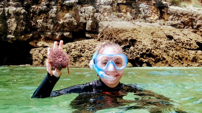 lisbon arrábida snorkeling adventure