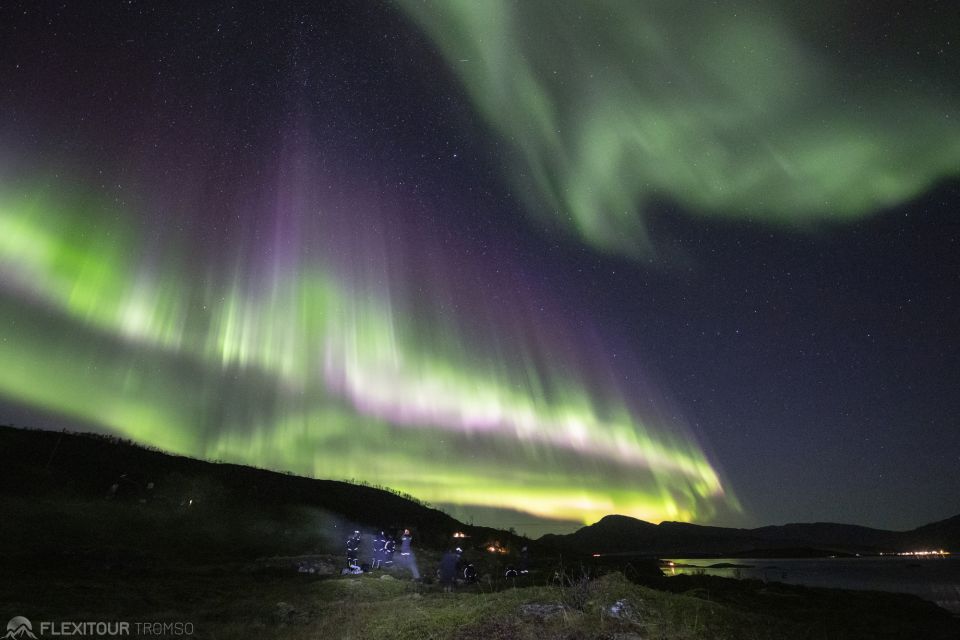 Fundo Luzes Noturnas Polares Na Noruega Fundo, Foto Da Aurora Boreal, Aurora  Boreal, Aurora Imagem de plano de fundo para download gratuito