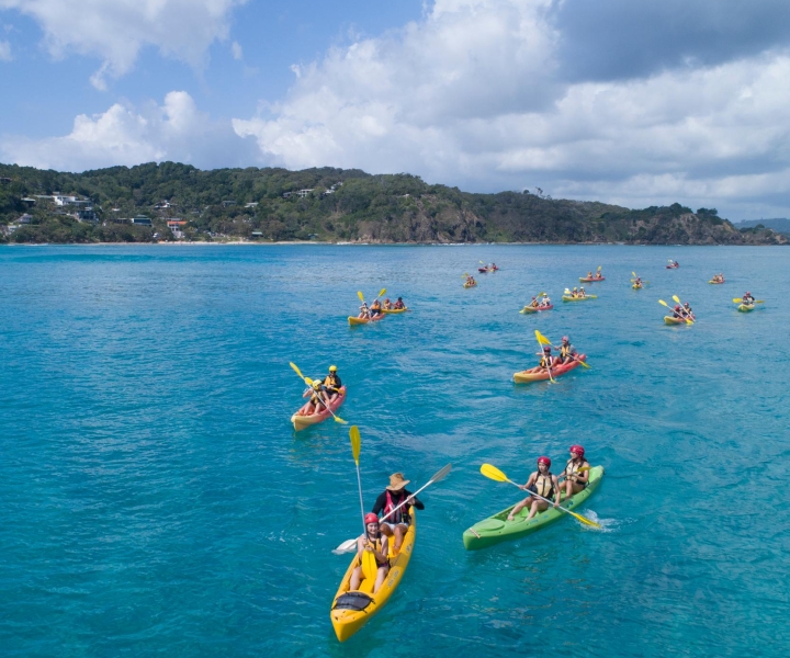 Byron Bay: Byron Byron: Kayak with Dolphins Tour