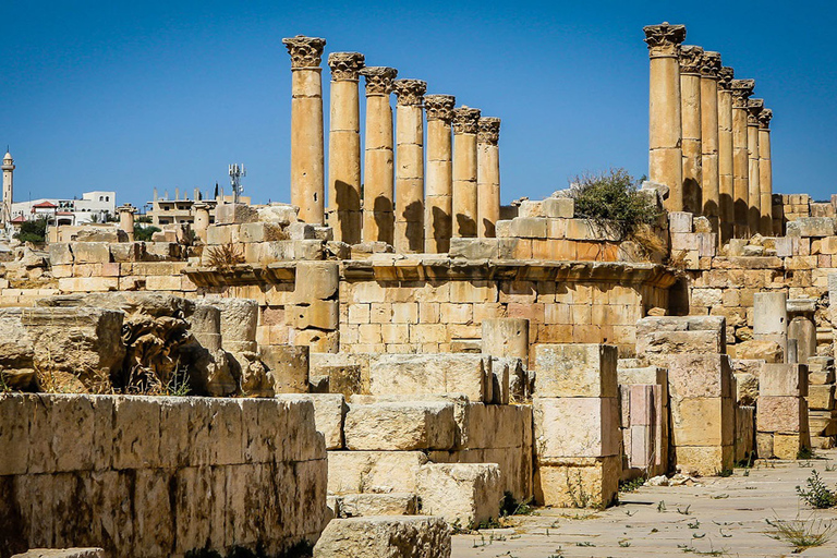 Excursão privada a Jerash e Ajloun saindo de AmãExcursão Jerash e Ajloun