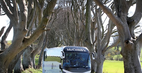 Game of Thrones and Giant&#39;s Causeway Day Tour from Belfast