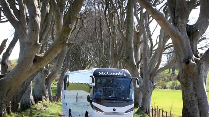 game of thrones and giants causeway day tour from belfast