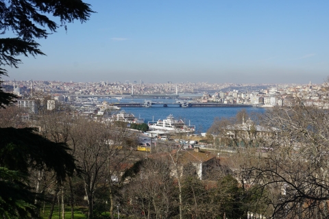 Istanboel: rondvaart van een halve dag over de BosporusIstanboel: rondvaart van een halve dag over de Bosphorus