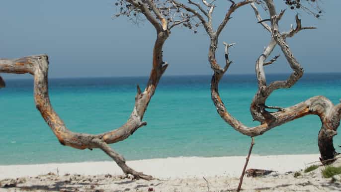 depuis calvi balade en 4x4 montagne et plage de saleccia