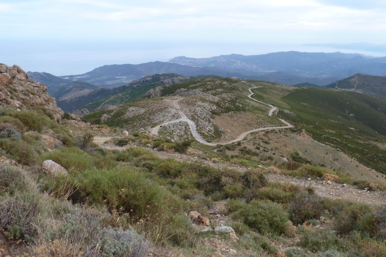 Van Calvi: dagtour per 4x4 naar berg & Plage de Saleccia