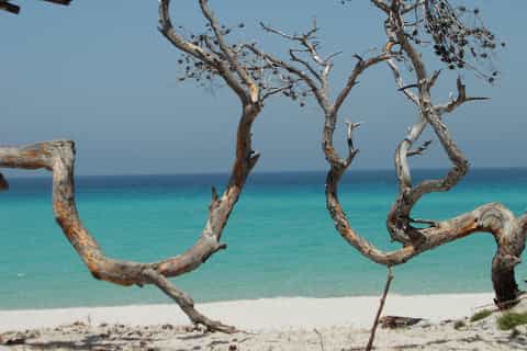 bastia cap corse et plage de saleccia en 4x4