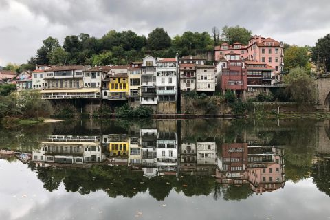 Do Porto: Tour Privado Vale do Douro