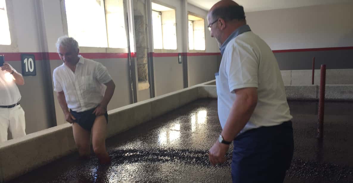 From Porto: Douro Valley Private Tour