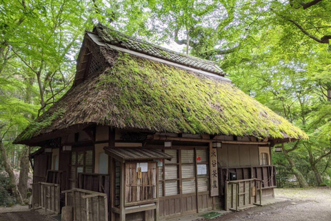 Nara Hidden Gems: Deer, Tsubosaka-dera, Kasuga & Naramachi