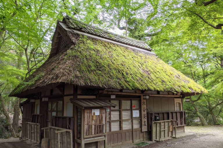 Nara Hidden Gems: Deer, Tsubosaka-dera, Kasuga & Naramachi