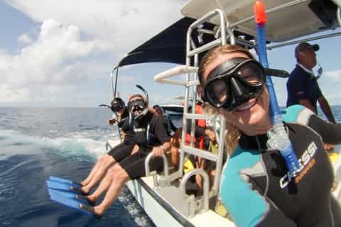 Riviera Maya: Whale Shark Encounter