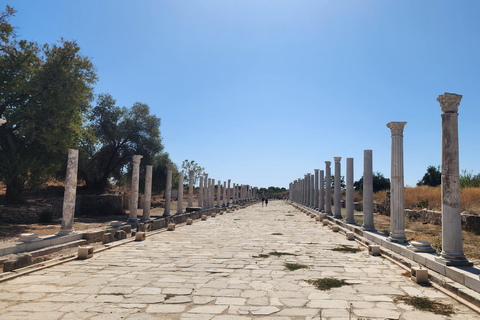 Small Group Ancient Side Walking Tour with Temple of Apollo