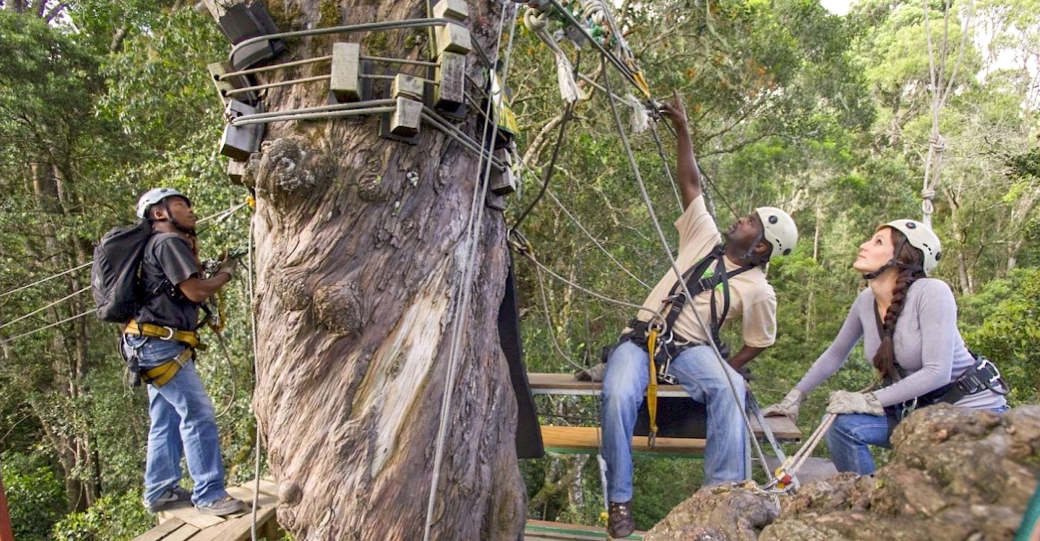 Storms River, Tsitsikamma National Park Zipline Canopy Tour - Housity