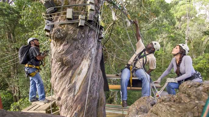 garden route national park tsitsikamma zipline canopy tour