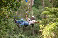 Storms River, Tsitsikamma National Park Zipline Canopy Tour - Housity