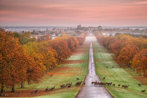 Från London: Stonehenge, Windsor och Salisbury guidad turRundresa på spanska med entré till Windsor Castle och Stonehenge