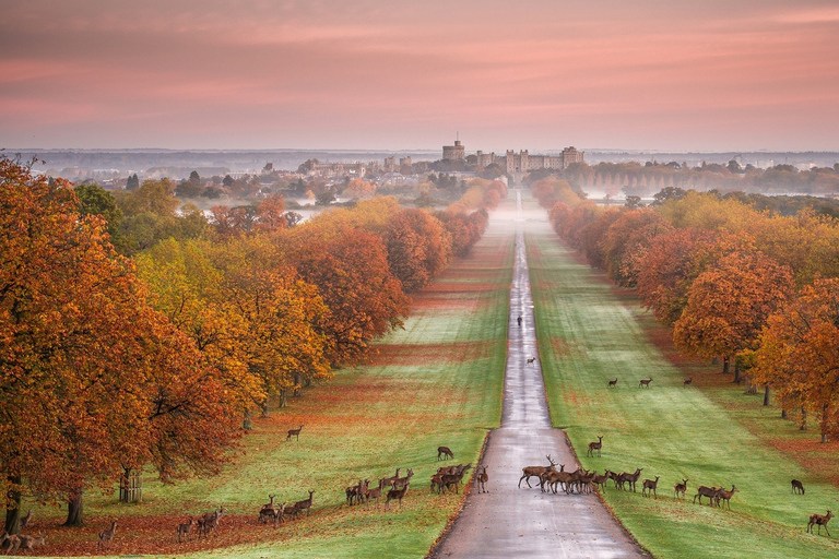 Från London: Stonehenge, Windsor och Salisbury guidad turRundresa på spanska med entré till Windsor Castle och Stonehenge