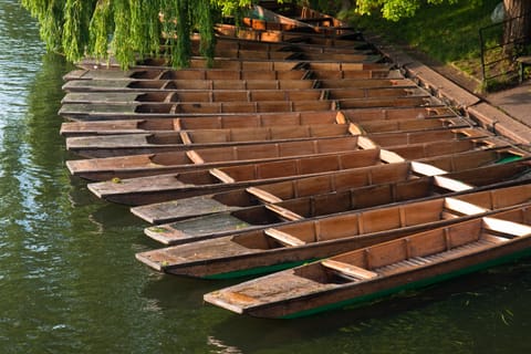 Passeios de barco