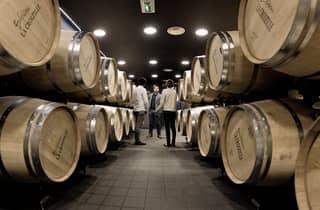 Saint-Émilion: visita a una bodega Grand Cru Classé y cata