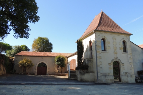 Saint-Émilion : visite guidée et dégustation de vinsSaint-Émilion : visite guidée et dégustation en français