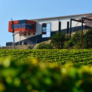 Saint Emilion: rondleiding wijnhuizen & wijnproeverij