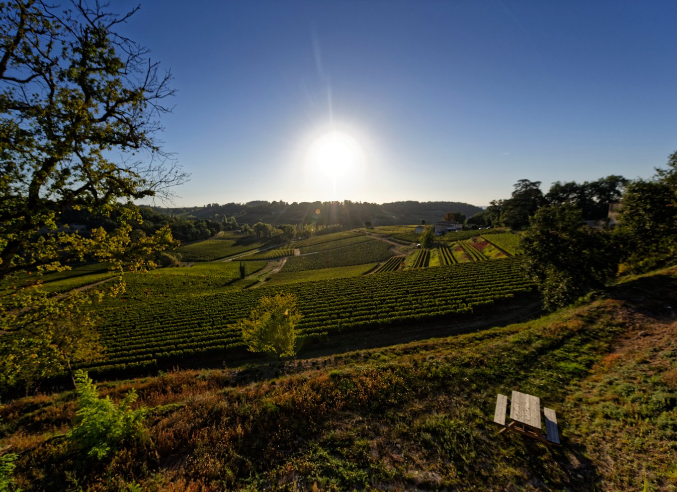 Saint-Émilion: Grand Cru Classé vingårdsbesøg og smagning