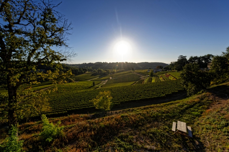 Saint-Émilion: Weingut-Führung und Weinverkostung