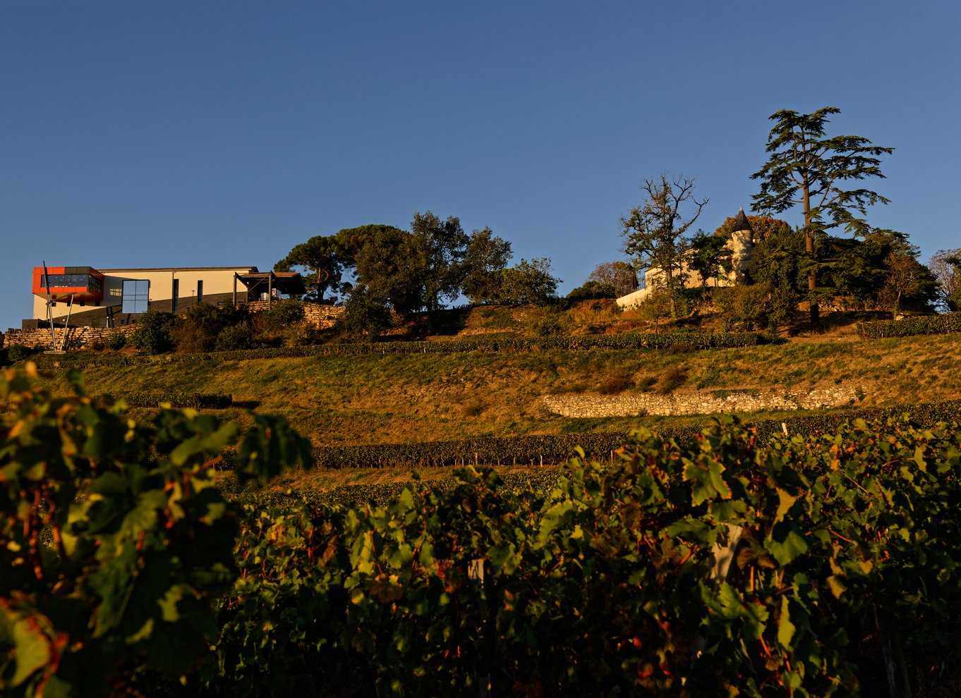 Saint-Émilion: Grand Cru Classé vingårdsbesøg og smagning