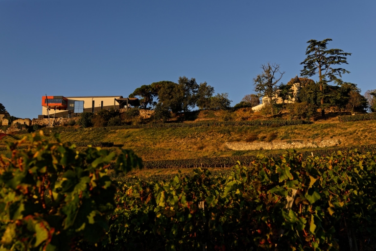 Saint-Émilion: Weingut-Führung und Weinverkostung