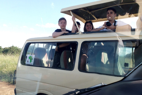 Excursão de um dia ao Parque Nacional do Lago Nakuru saindo de Nairóbi