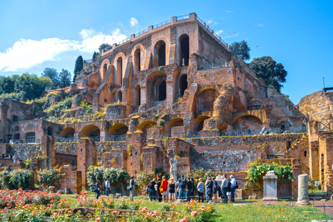 Rome : Forum romain et colline du Palatin visite guidée avec licence