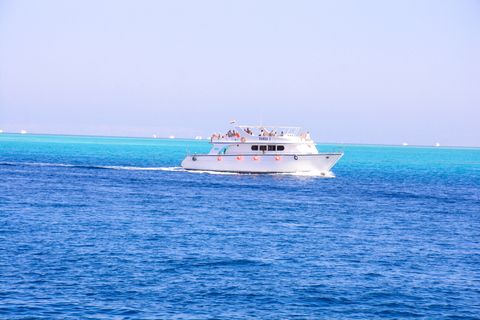 Hurghada: Dolphin Watching &amp; Snorkeling w/ Private TransferTour with Private Transfer