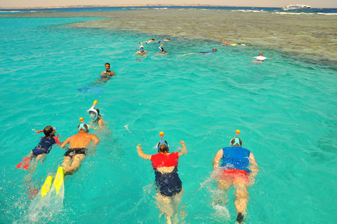 Hurghada : Observation des dauphins et plongée en apnée avec transfert privéExcursion avec transfert privé