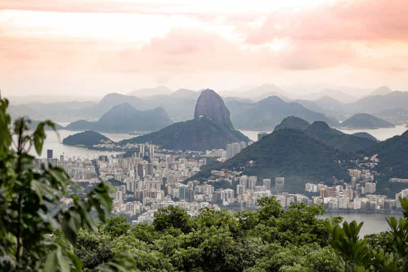 Rio Half Day Jeep Tour At Floresta Da Tijuca Getyourguide 2543