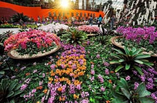 Eintrittskarte für die Gardens by the Bay mit Transfer in eine Richtung