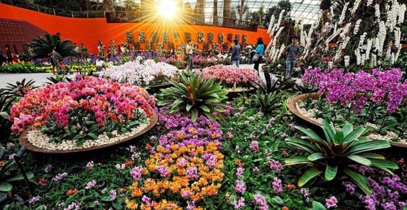 Gardens by the Bay Entry Ticket with One-Way Transfer