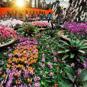 Gardens by the Bay Entry Ticket with One-Way Transfer Gardens by the Bay Entry Ticket with One-Way Transfer