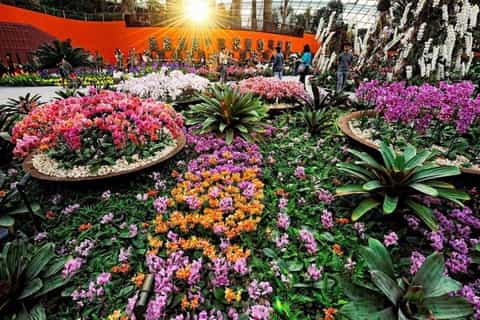 Gardens by the Bay Entry Ticket with One-Way Transfer - Image 3