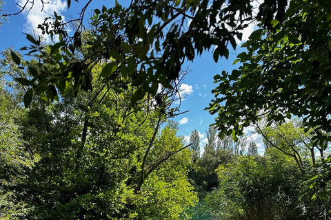 Private Authentic Krka Waterfalls Experience & Šibenik