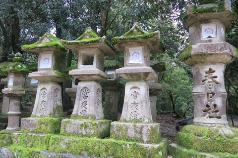 Nara: Kasuga Taisha Shrine Candlelight Tour with Drink