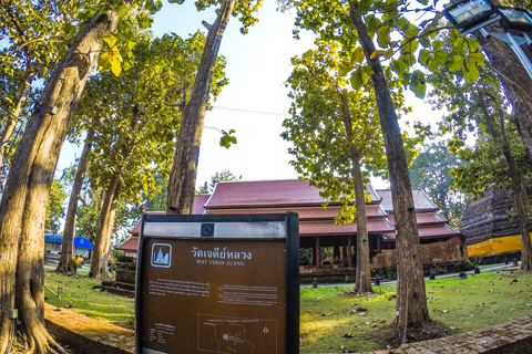 Vanuit Chiang Mai: dagtocht Witte Tempel & Gouden DriehoekKleine groep