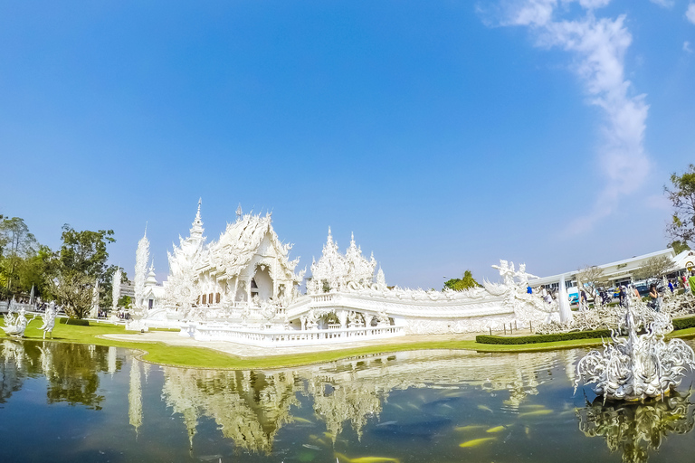 From Chiang Mai: White Temple &amp; Golden Triangle Day TripSmall Group