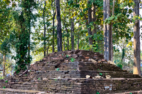 Från Chiang Mai: Dagstur till Vita templet och Gyllene triangelnLiten grupp