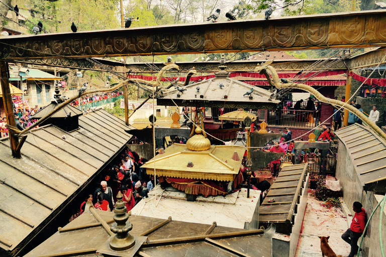 Katmandu: Pharping, Dakshinkali och Chobhar-tur med lunch