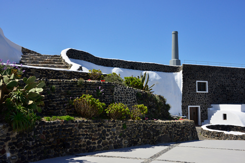 Santorini: Excursión a 3 Bodegas con TrasladoPunto de encuentro en la ciudad de Fira o en el pueblo de Kamari