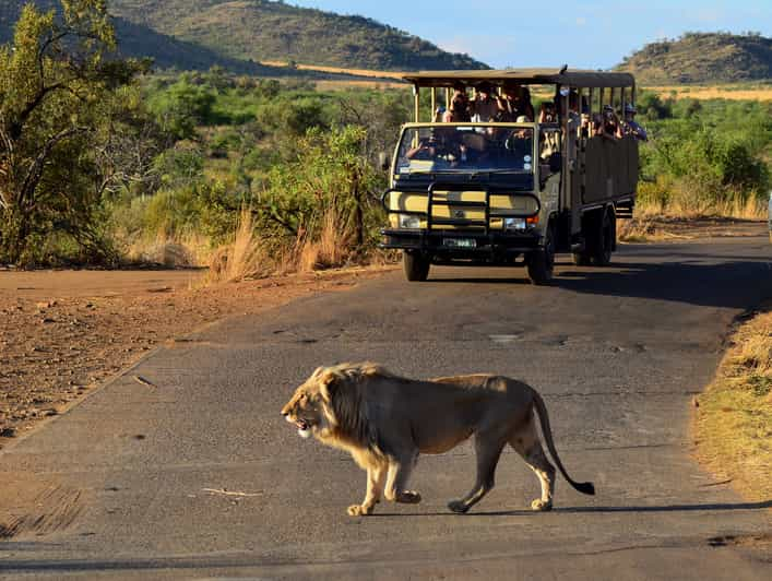 Pilanesberg-Nationalpark: Heißluftballon-Safari In Sun City | GetYourGuide